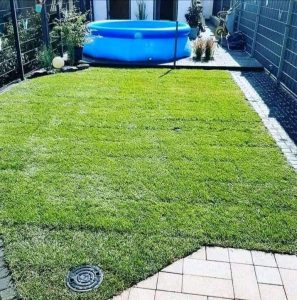 buffalo grass installation company in cape town